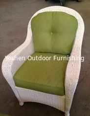 China Luxuary home rattan chair-16116 supplier